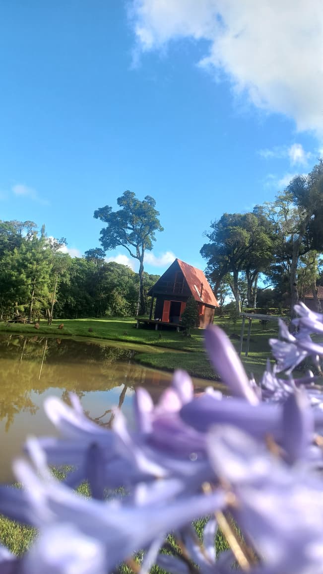 Cabana açude flor roxa