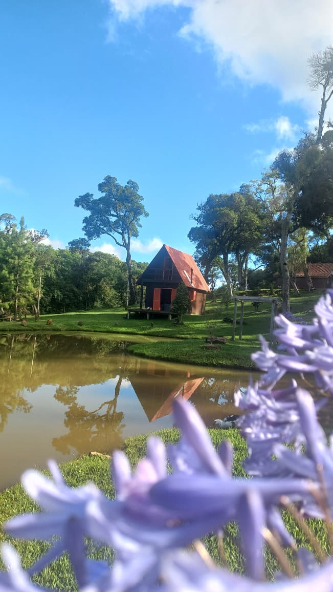 Cabana açude flor roxa